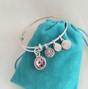 Alex and Ani Birth PURPLE AMETHYST Stone Charm Bracelet adjustable Size.